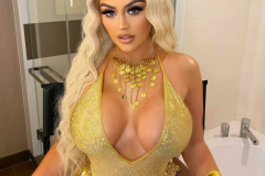 Danii Banks Cleavage Dress